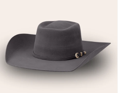 Avenel - The Cheyenne Roll Bound - Fur Felt Western Hat